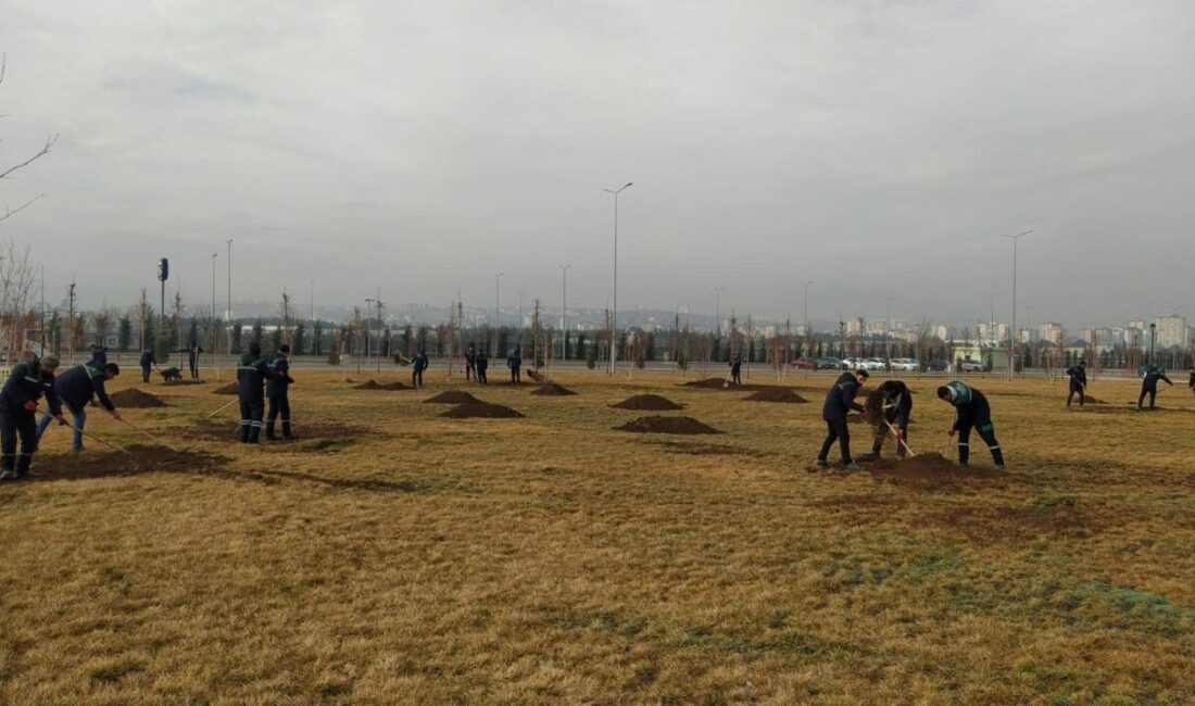 Kayseri Büyükşehir Belediyesi, Türkiye'nin en büyük millet bahçelerinden biri olan