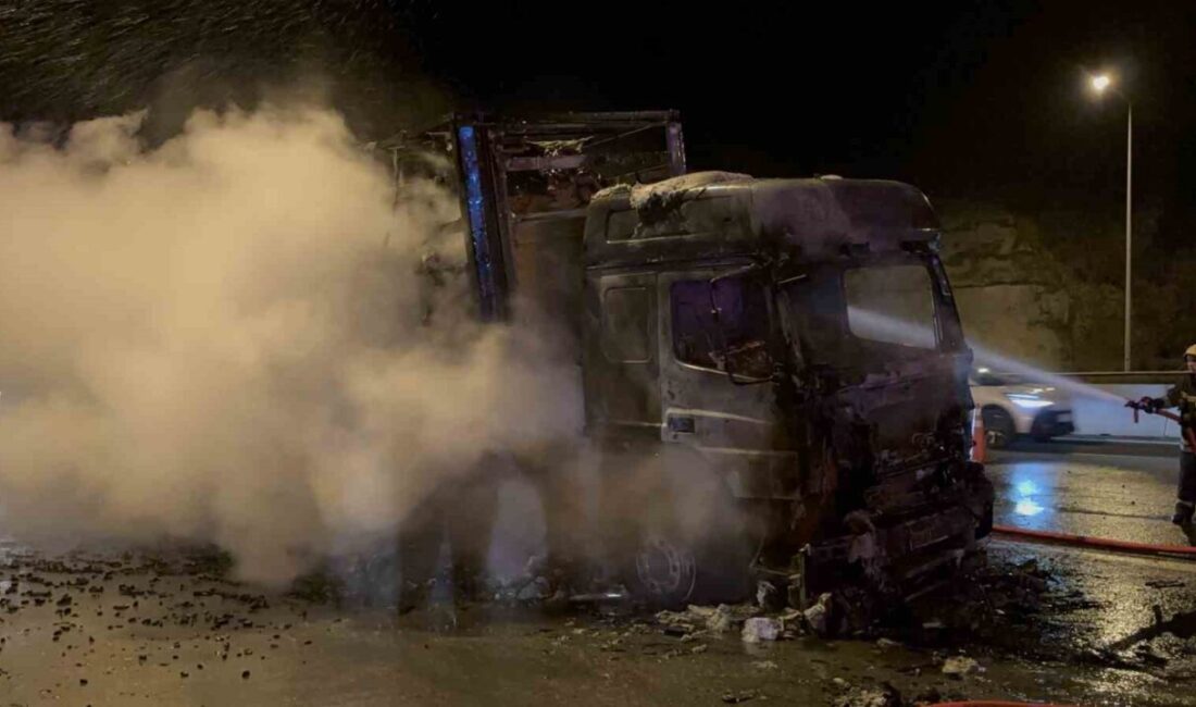 TEM Otoyolu Bolu Dağı Tüneli'nde çıkan yangın, Ukrayna'dan Irak'a kömür
