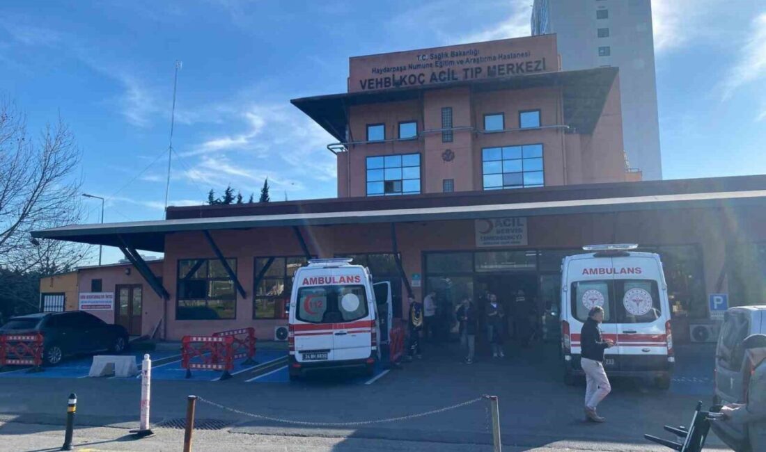 Usta sanatçı Edip Akbayram yoğun bakıma kaldırıldı Usta sanatçı Edip Akbayram,