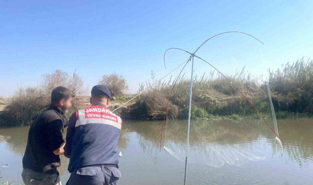 Mersin'de yasak avlanma malzemeleriyle suçüstü yakalanan 3 şahsa 14 bin