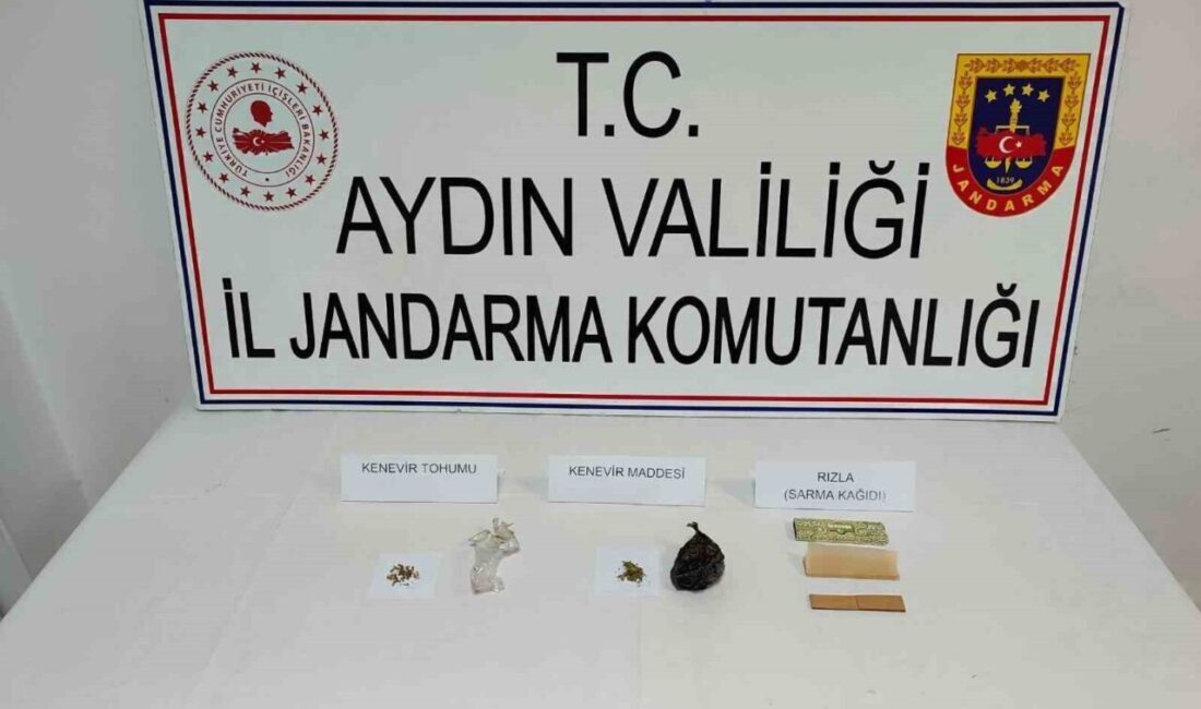 Aydın'da 5 ilçede uyuşturucu kullanan 9 kişi jandarma tarafından yakalandı.
