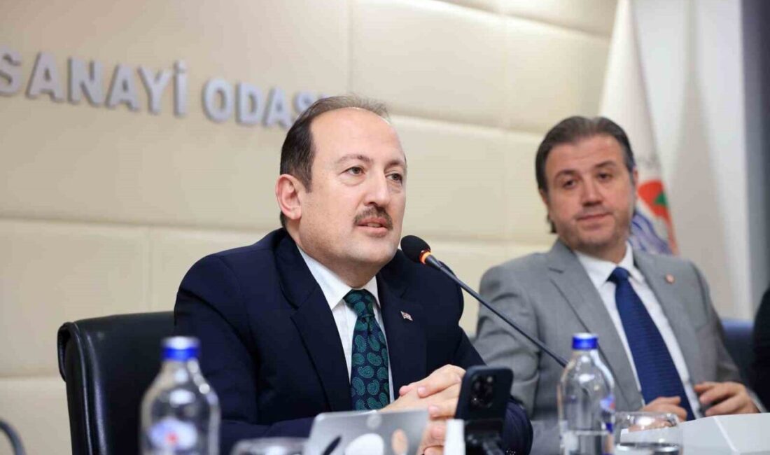 Mersin Valisi Ali Hamza Pehlivan, kamunun da özel sektör yatırımlarının