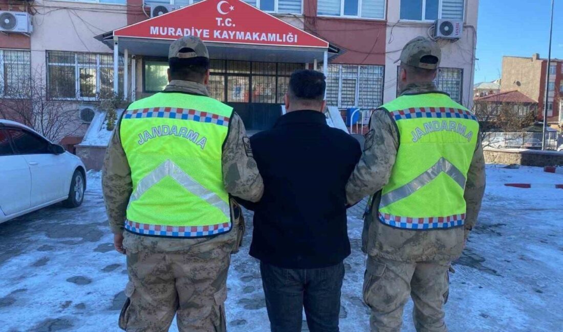 Van'ın Muradiye ilçesinde jandarma ekipleri, bir otomobilde yapılan aramada 10