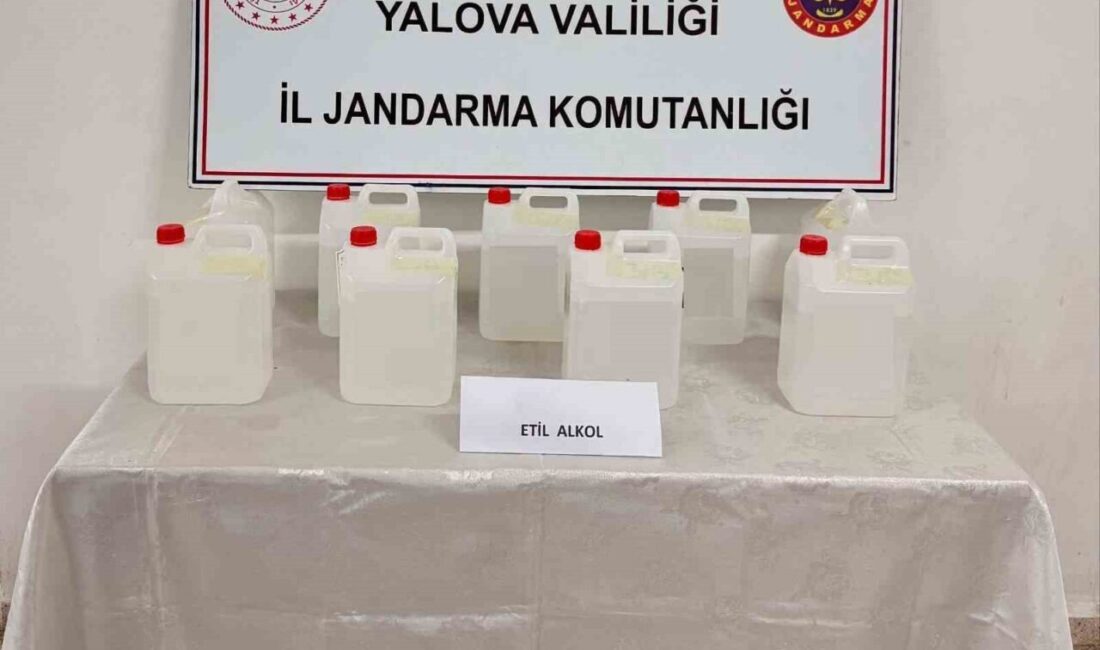 Yalova'da kargoyla gönderilen 45 litre etil alkol ele geçirildi. İstanbul'dan