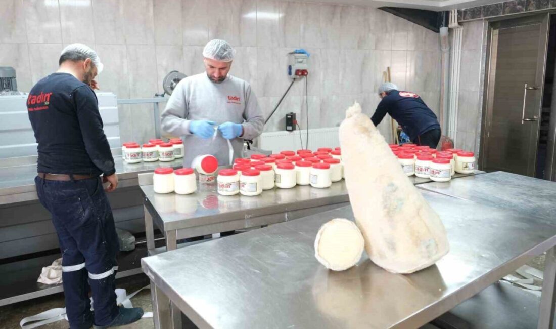 Erzincanlı tulum peyniri üreticileri, peynirin benzersiz aroması ve lezzetini yüksek