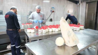Erzincanlı tulum peyniri üreticileri, peynirin benzersiz aroması ve lezzetini yüksek