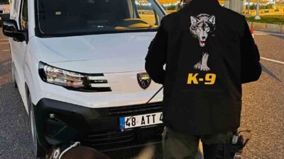 Muğla genelinde yeni yıl tedbirleri kapsamında yapılan asayiş uygulaması çerçevesinde