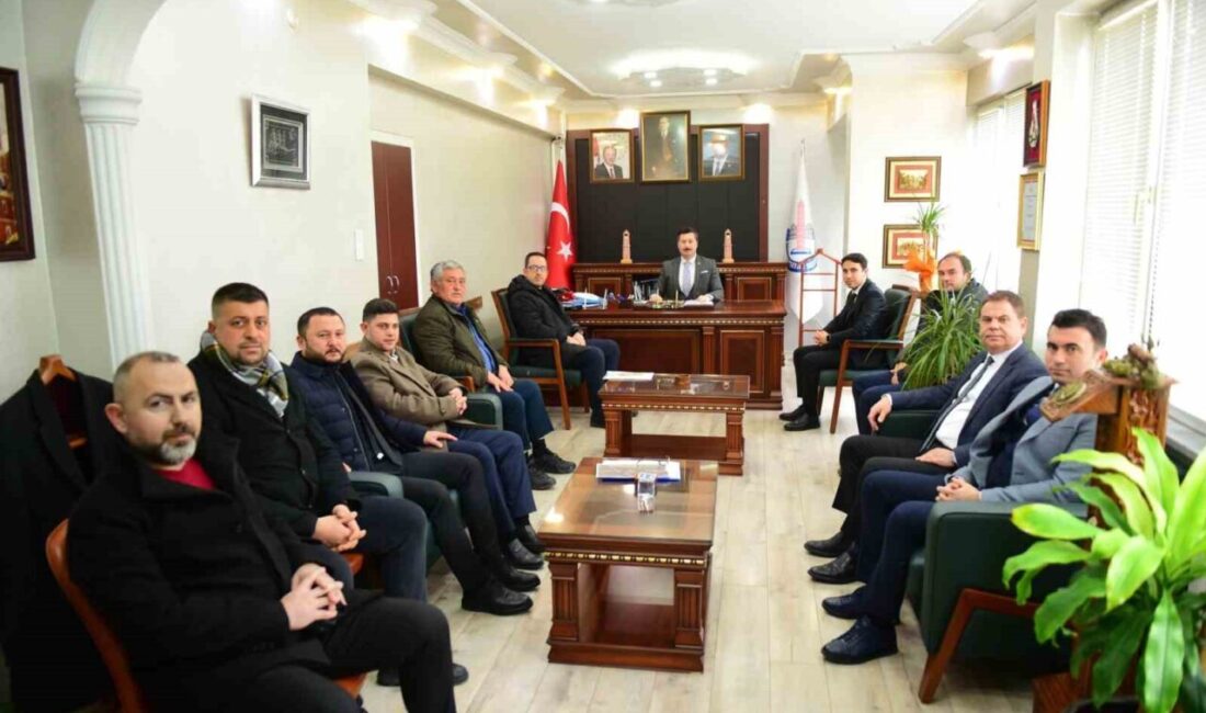 Yenişehir’e yıllardır beklenen yaş sebze meyve hali yapılıyor Yenişehir Belediye Meclisi'nin kararıyla