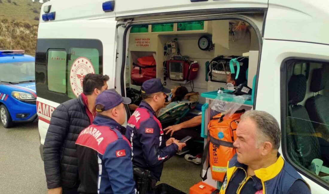 Yolcu minibüsü ile pickup kafa kafaya çarpıştı; 5 yaralı Denizli'nin Pamukkale ilçesinde meydana