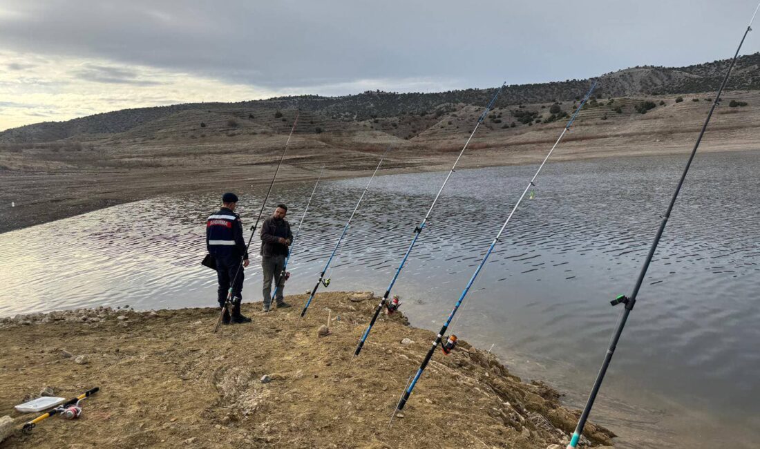 Yozgat Çekerek ilçesi Süreyya Bey Barajı Lavanta Adası ve Trüf