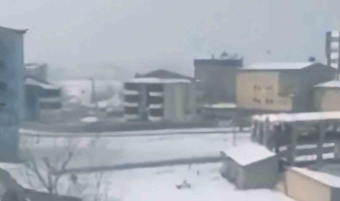 Hakkari'nin Yüksekova ilçesinde okul döneminde öğrencilere saldıran köpeklerin saldırısı görüntülendi.