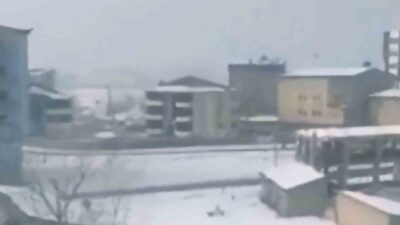 Hakkari'nin Yüksekova ilçesinde okul döneminde öğrencilere saldıran köpeklerin saldırısı görüntülendi.