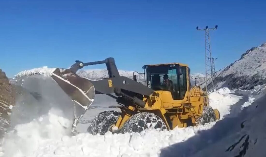 Yüksekova’da karla mücadele çalışmaları tamamlandı Hakkari'nın Yüksekova ilçesinde ekipler,