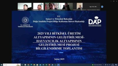 Sanayi ve Teknoloji Bakanlığı'na bağlı DAP Bölge Kalkınma İdaresi, 2025