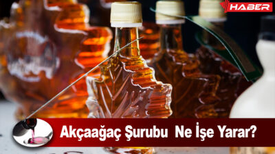 Akçaağaç Şurubu Nedir; Bu yazıda, akçaağaç şurubunun ne olduğundan faydalarına,