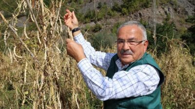 Ordu Büyükşehir Belediye Başkanı Dr. Mehmet Hilmi Güler'in destekleriyle Akkuş