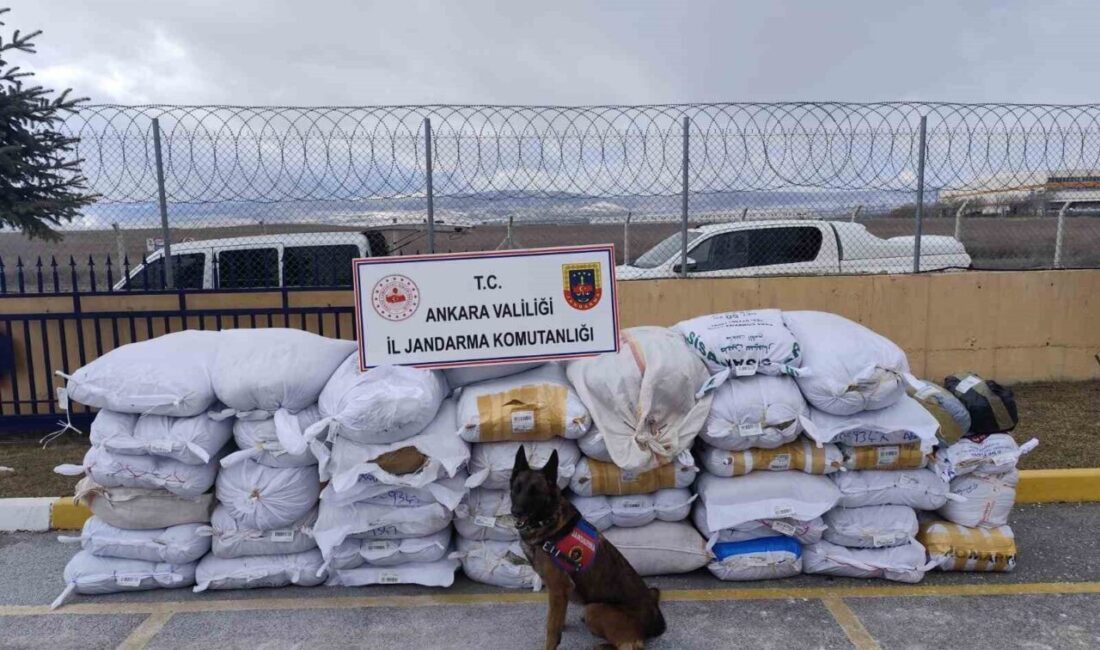 Kahramankazan ilçesinde tırda 4 ton 700 kilo kaçak tütün ele