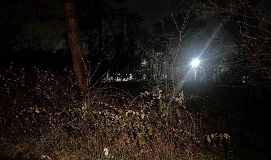 Arnavutköy'de ağaçlık alanda bulunan erkek cesedi incelenmek üzere morga kaldırıldı.