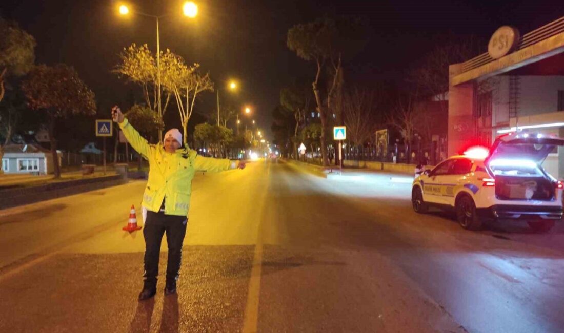 Aydın'ın Efeler ilçesinde trafik polisleri, evrakları eksik olan sürücülere işlem