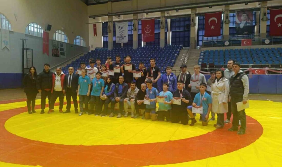 Aydın Gençlik ve Spor İl Müdürlüğü'nün düzenlediği Yıldız Erkek Grekoromen