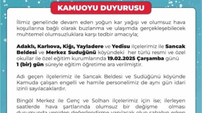 Bingöl'de yoğun kar yağışı sebebiyle 5 ilçe, 1 belde ve