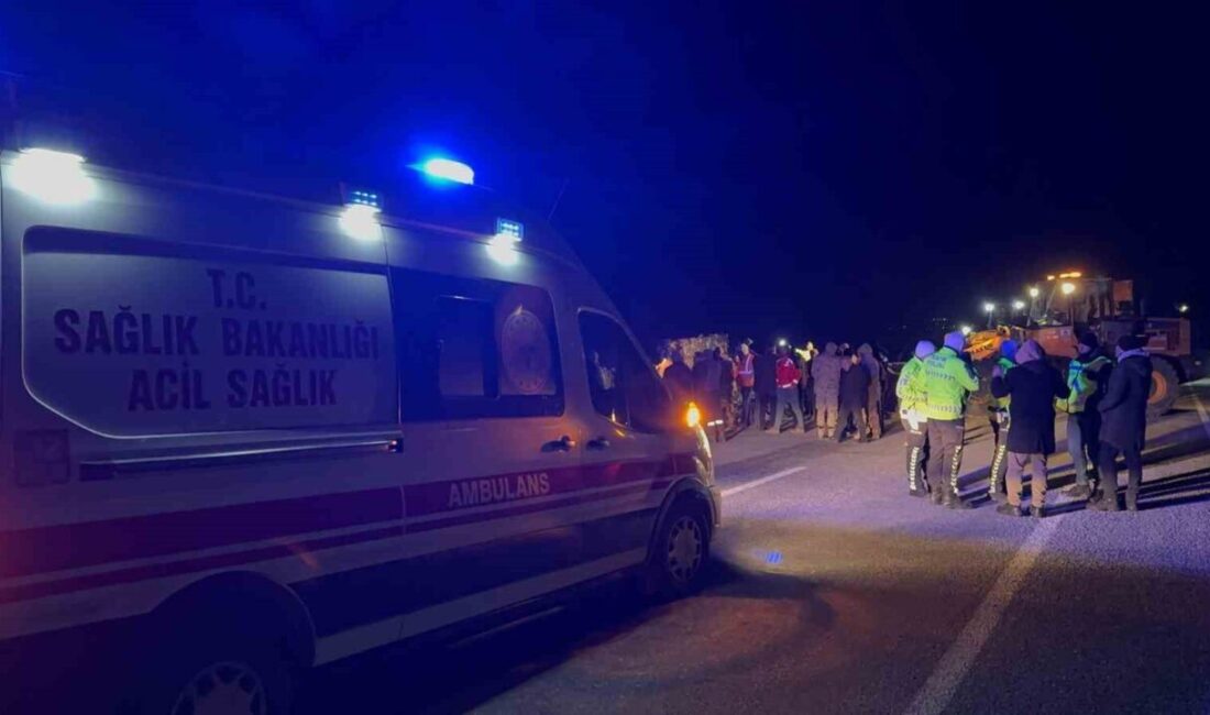 Bitlis'in Tatvan ilçesinde kaçak göçmen taşıyan tırın dorsesindeki gizli bölme