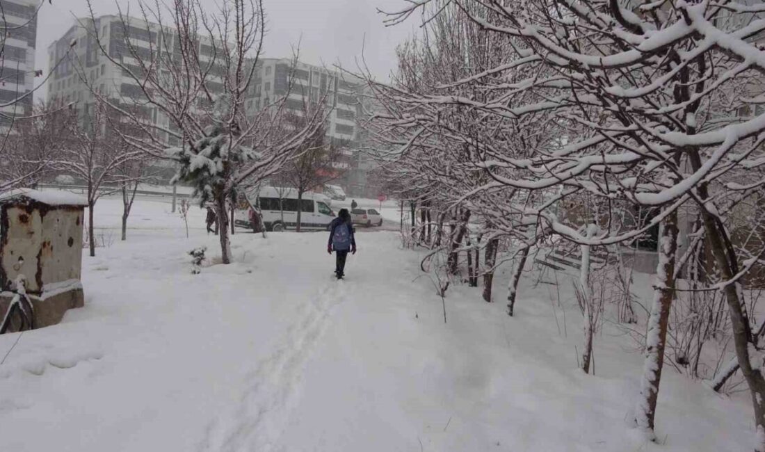 Bitlis'te yoğun kar yağışı nedeniyle 111 köy yolu kapandı. Akşam