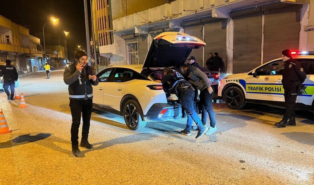 Şanlıurfa'nın Ceylanpınar ilçesinde 250 polis 'Huzur 63' uygulamasıyla 23 bölgede