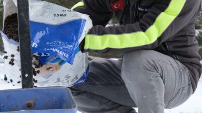 Çorum Belediyesi, kışın doğadaki canlıların beslenmesi için mama ve yem