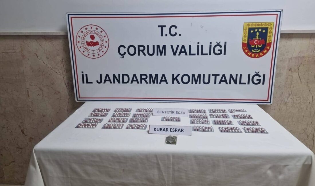 Çorum'da jandarma operasyonunda 342 sentetik ecza hapı ve 4,72 gram