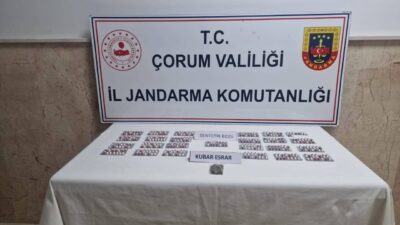 Çorum'da jandarma operasyonunda 342 sentetik ecza hapı ve 4,72 gram