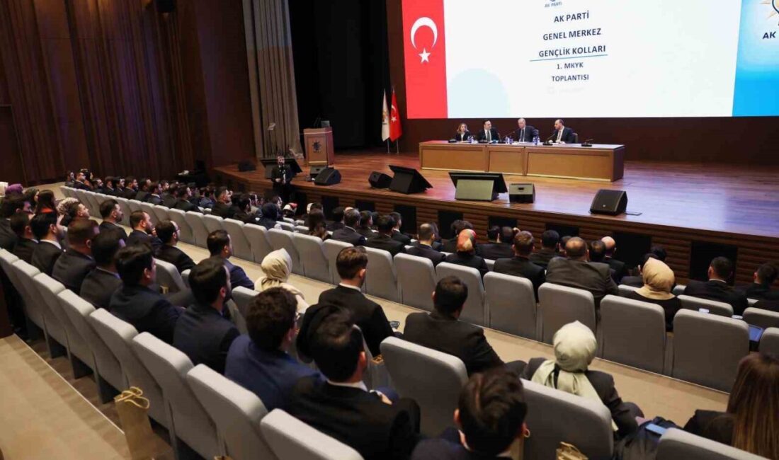 Cumhurbaşkanı Erdoğan, AK Parti Gençlik Kolları MKYK toplantısında başkanlık yaptı.