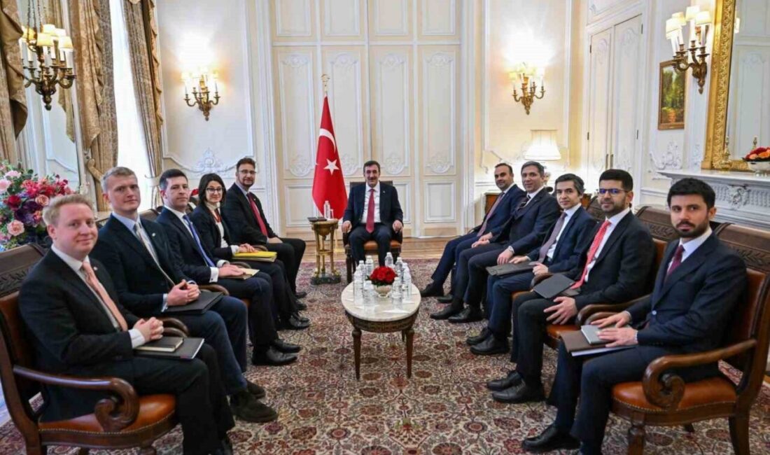 Cumhurbaşkanı Yardımcısı Cevdet Yılmaz, İngiltere'de Avam Kamarası üyesi Milletvekili Afzhal