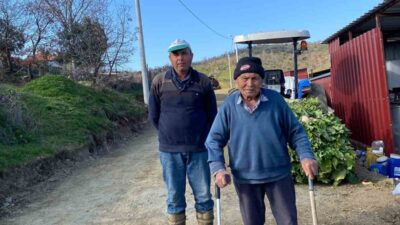 Denizli'nin Buldan ilçesindeki süt üreticileri, yol sorunlarının çözülmesiyle rahatladı. 88