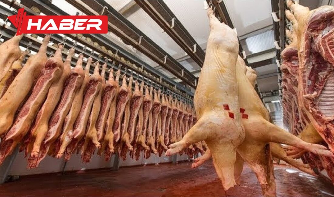 Domuz eti tüketimi, İslam dininde açıkça haram kılınmış bir gıdadır.