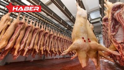 Domuz eti tüketimi, İslam dininde açıkça haram kılınmış bir gıdadır.