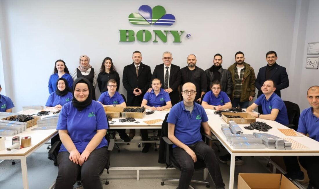 Düzce Ticaret ve Sanayi Odası, Düzce Organize Sanayi Korumalı İş