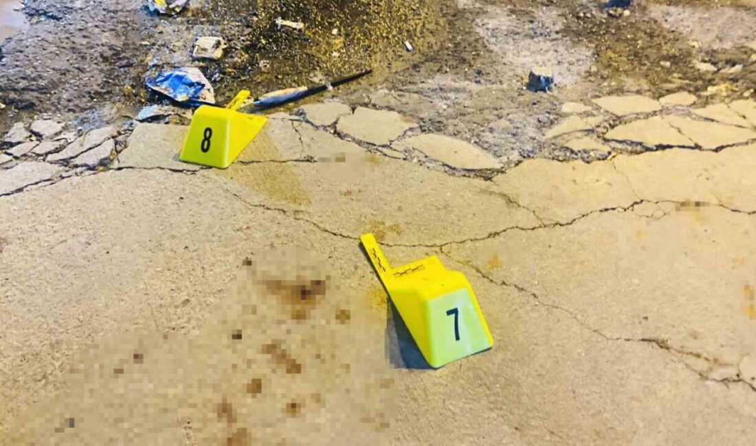 Diyarbakır'ın Bağlar ilçesinde düğün salonu önünde çıkan kavgada 3 kişi