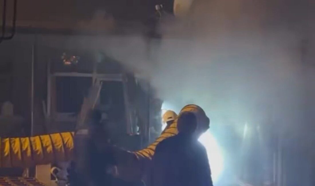 Düzce'nin Gölormanı köyünde Vedat Koç'a ait nalbur dükkanında çıkan yangın,