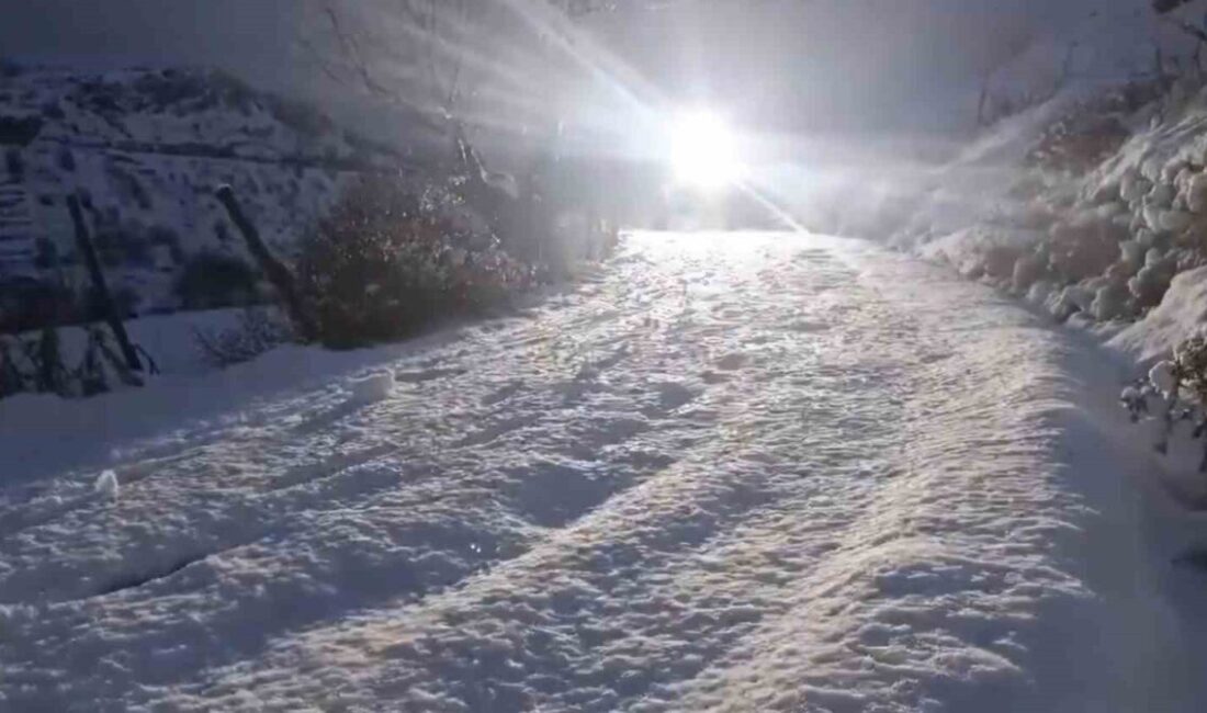 Elazığ'da yoğun kar yağışı nedeniyle aracında mahsur kalan sürücüye, İl