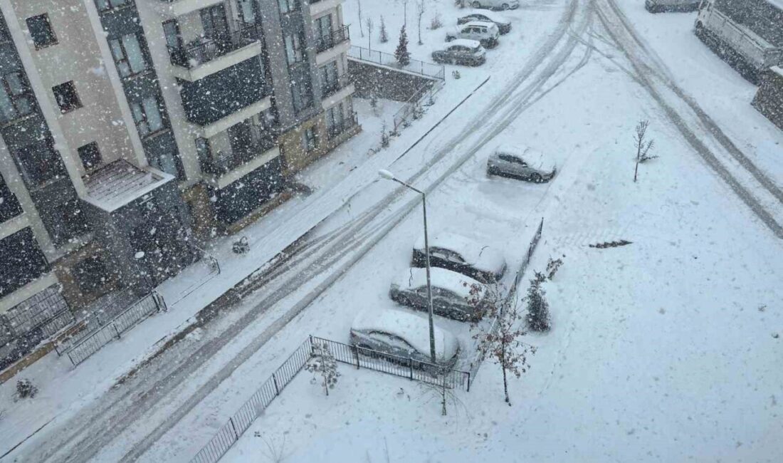 Elazığ'da süren kar yağışı, özellikle yüksek kesimlerde etkili olmakta. Güneykent
