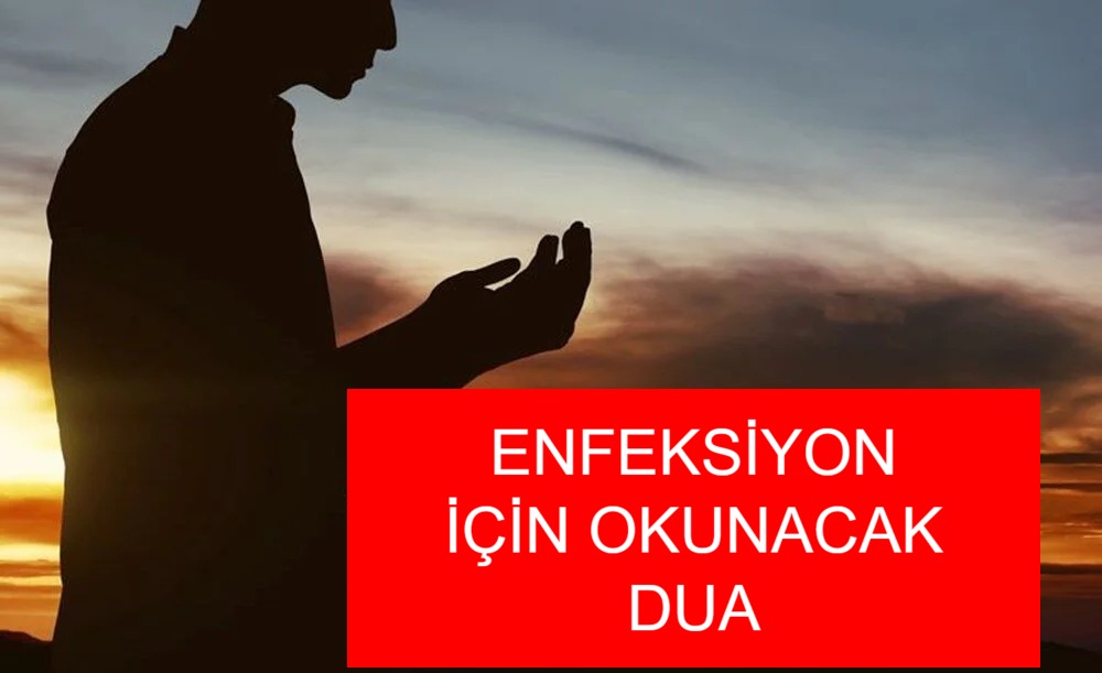 Enfeksiyon hastalıkları, bağışıklık sistemini