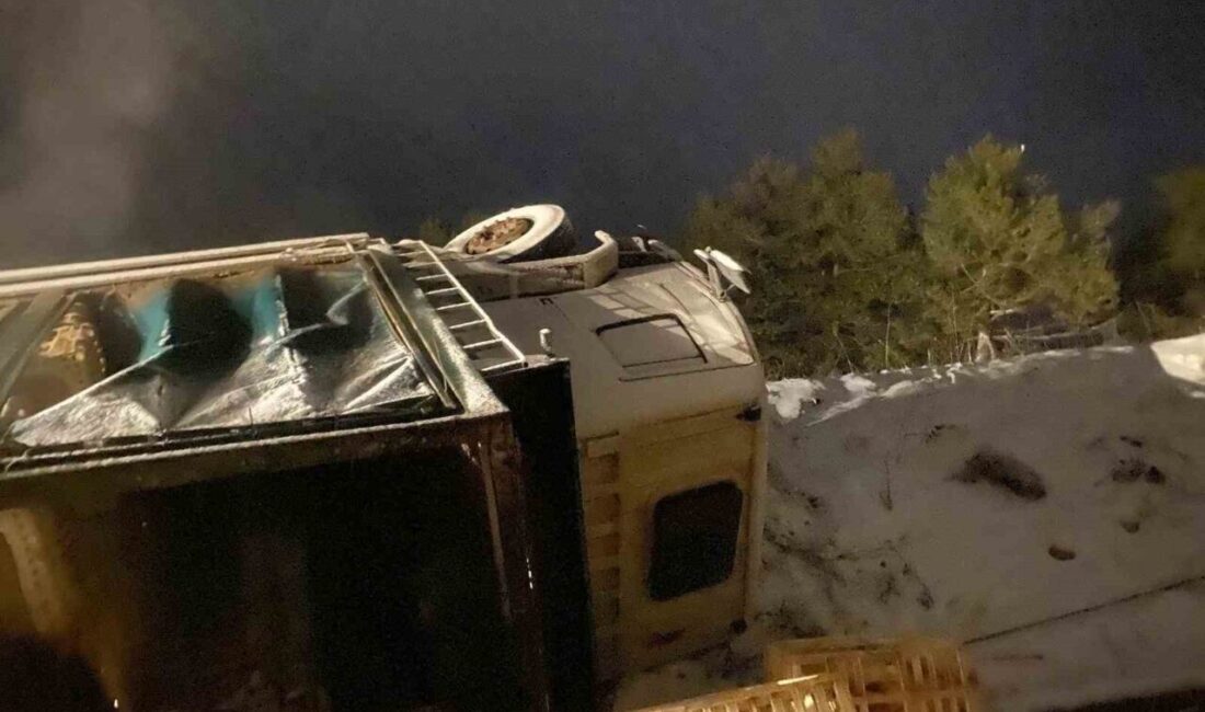 Bolu'nun Göynük ilçesinde, M.G. yönetimindeki Erpiliç firmasına ait canlı tavuk