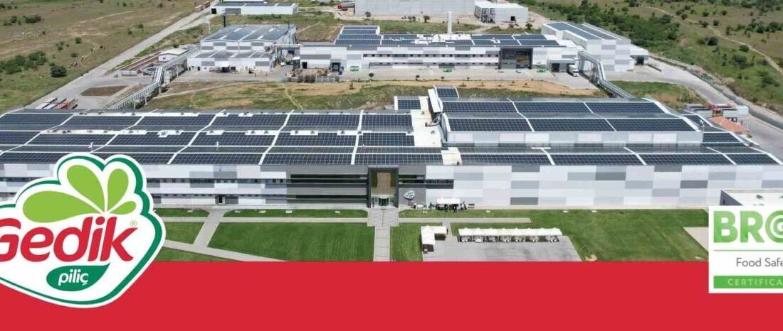 Gedik Piliç, 2018'den bu yana yapılan denetimlerin yanı sıra 2024'teki