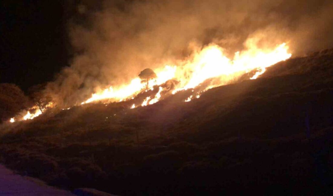 Çanakkale'nin Gökçeada ilçesinde Cafer Çeşmesi'nde çıkan otluk alan yangını, güçlü