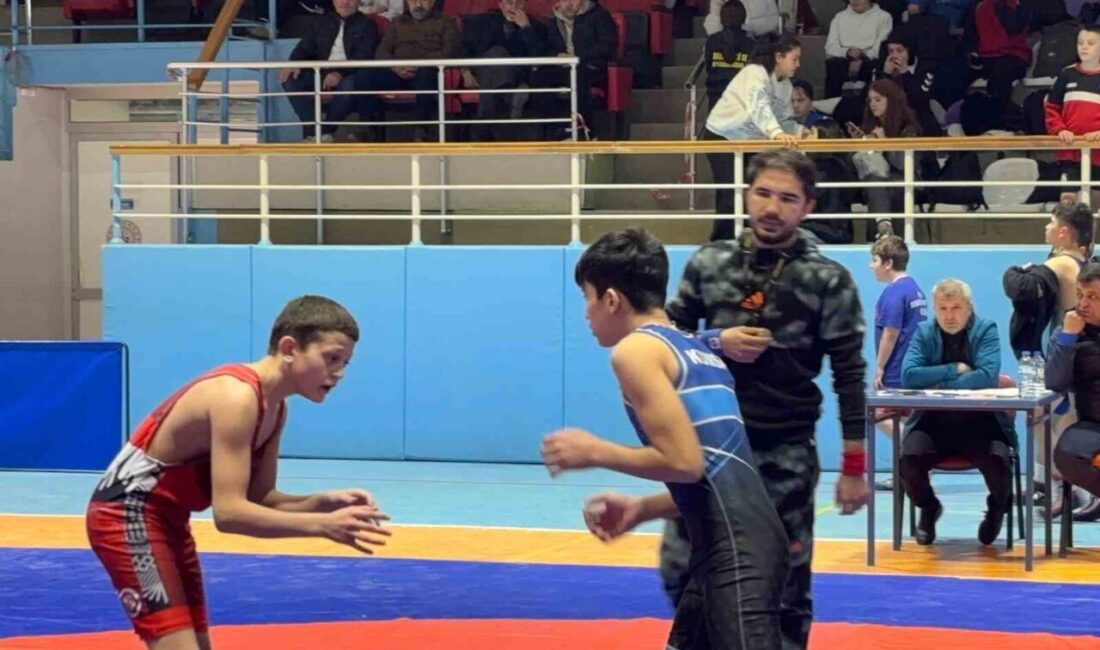 Grekoromen güreş il birinciliği ve kadınlar müsabakaları Çiğiltepe Spor Salonu'nda