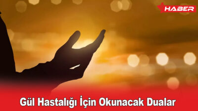 Gül hastalığı, yüz ve vücudun belirli bölgelerinde oluşan kızarıklık ve