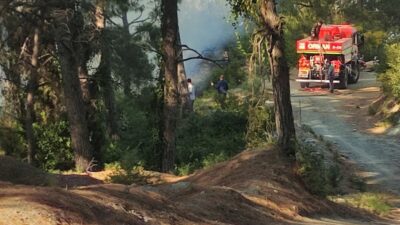 Hatay'ın Payas ilçesinde Sincan Mahallesi'nde çıkan örtü yangını itfaiye ekipleri