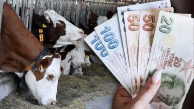 Yerköy İlçe Tarım ve Orman Müdürlüğünden yapılan açıklamada; T.C. Tarım