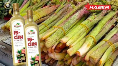 Işgın sirkesi, son yıllarda popülerliği artan doğal fermente ürünler arasında